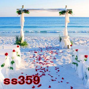 5'x8' SS359